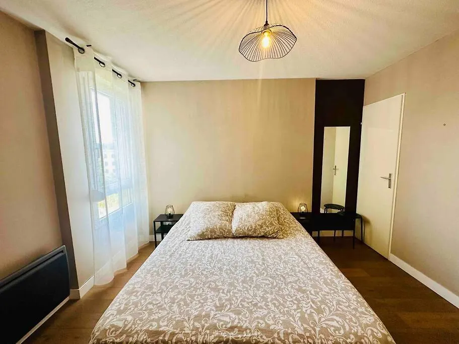 Appartement Lumineux Et Spacieux Proche Gare Villeurbanne France